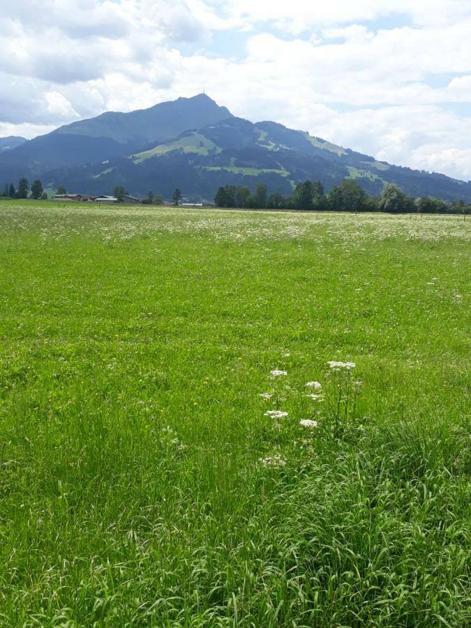 Appartement Muellner Kirchdorf in Tirol Bagian luar foto